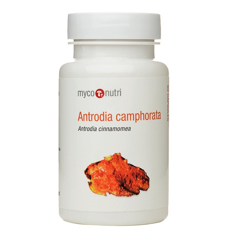 MycoNutri Antrodia Camphorata 60 Capsules
