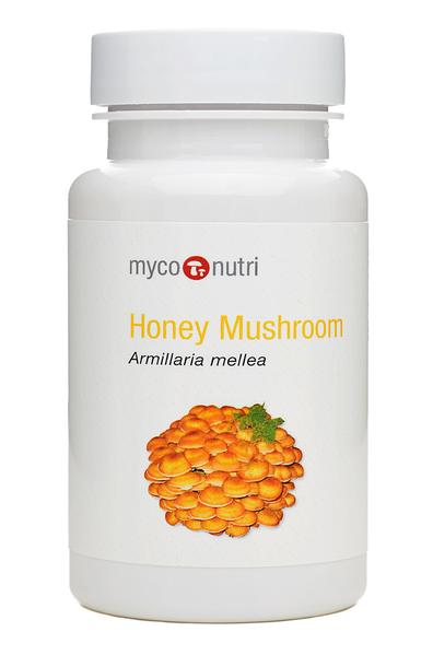 MycoNutri Honey Mushroom 60 Capsules
