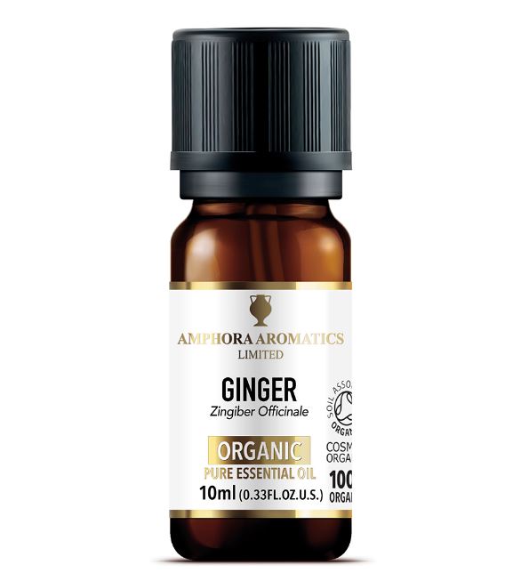 Amphora Aromatics Ginger Organic Pure Essential Oil 10ml