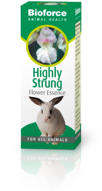 A Vogel (BioForce) Highly Strung Bioforce Animal Health 30ml