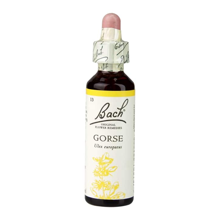 Bach Flower Remedies Gorse 20ml