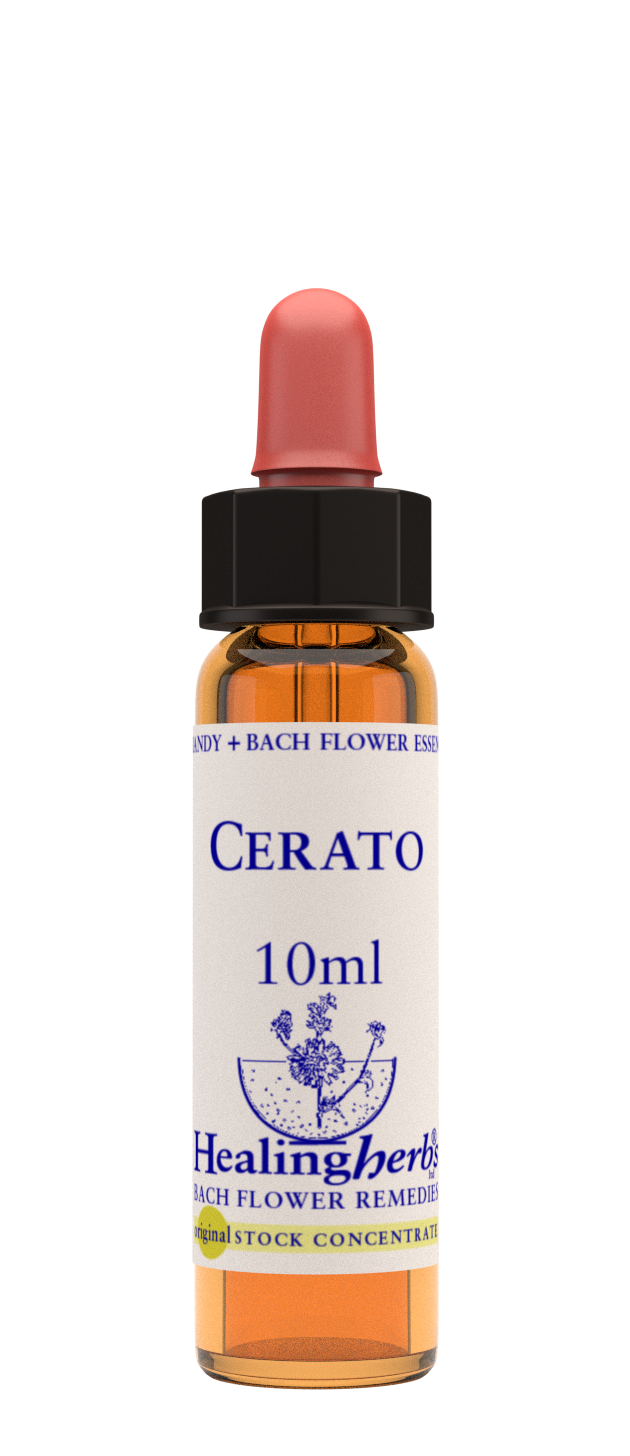 Healing Herbs Ltd Cerato