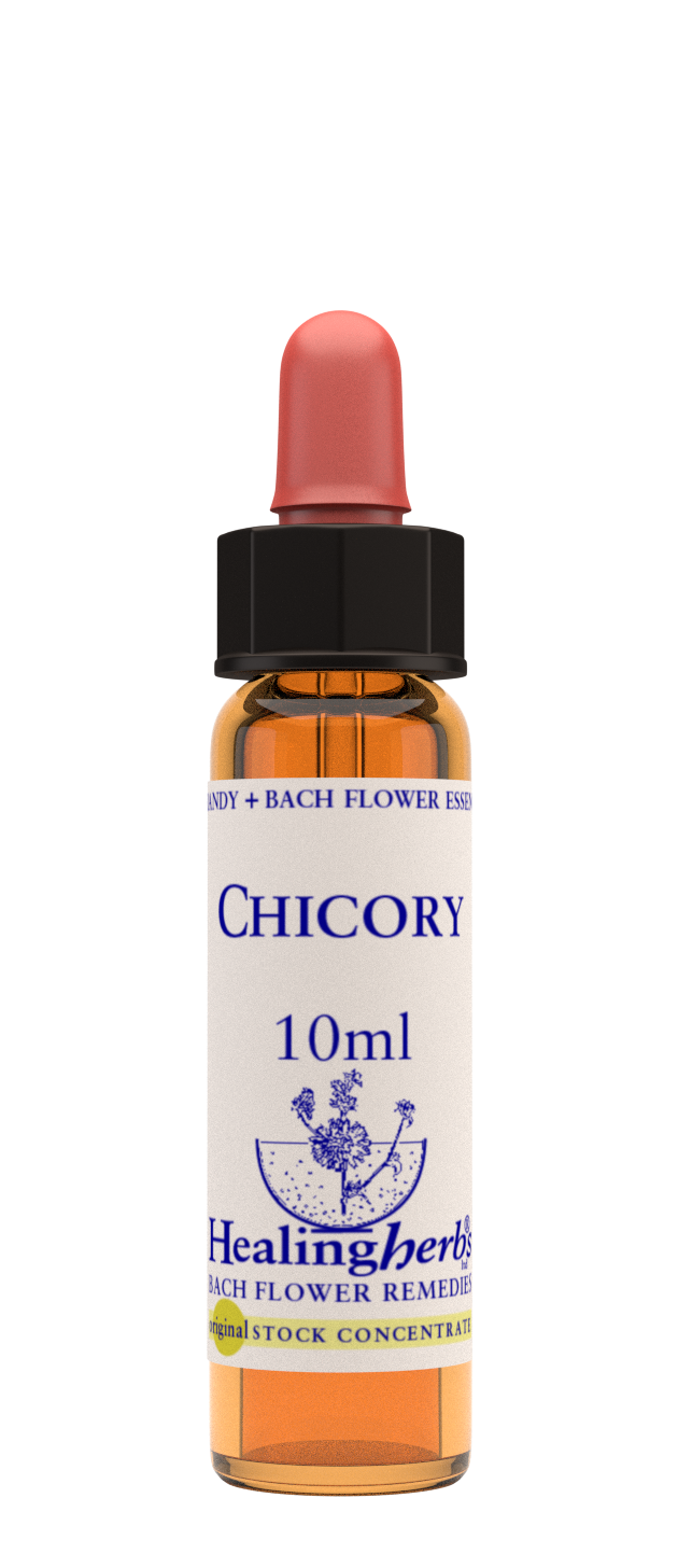 Healing Herbs Ltd Chicory