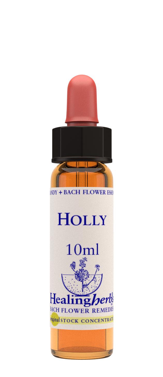 Healing Herbs Ltd Holly