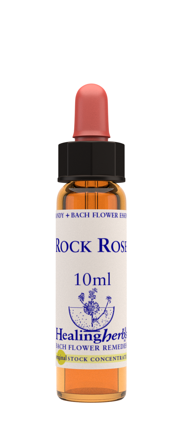 Healing Herbs Ltd Rock Rose