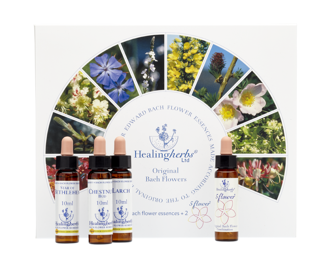 Healing Herbs Ltd Set of Full 40 10ml Bottles