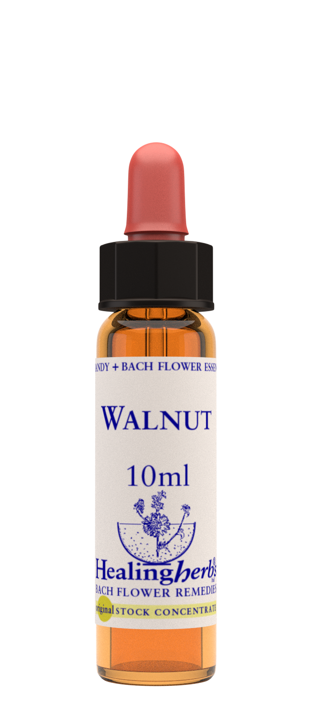 Healing Herbs Ltd Walnut