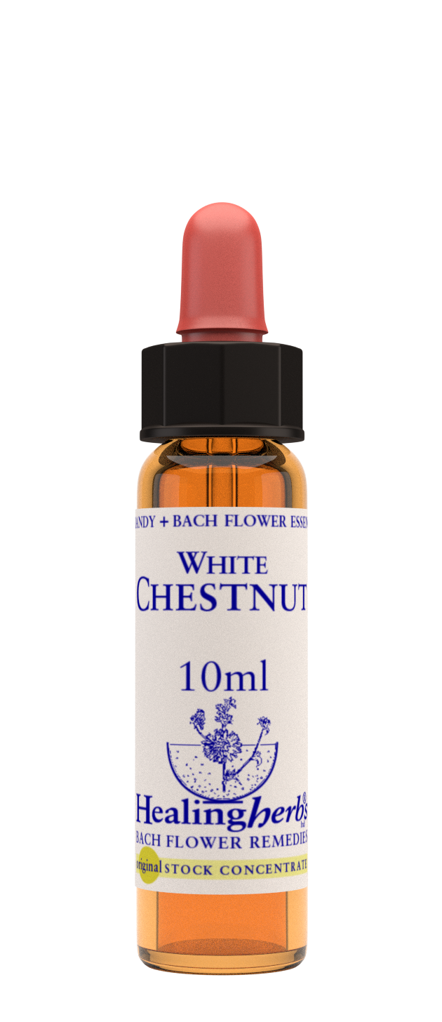 Healing Herbs Ltd White Chestnut