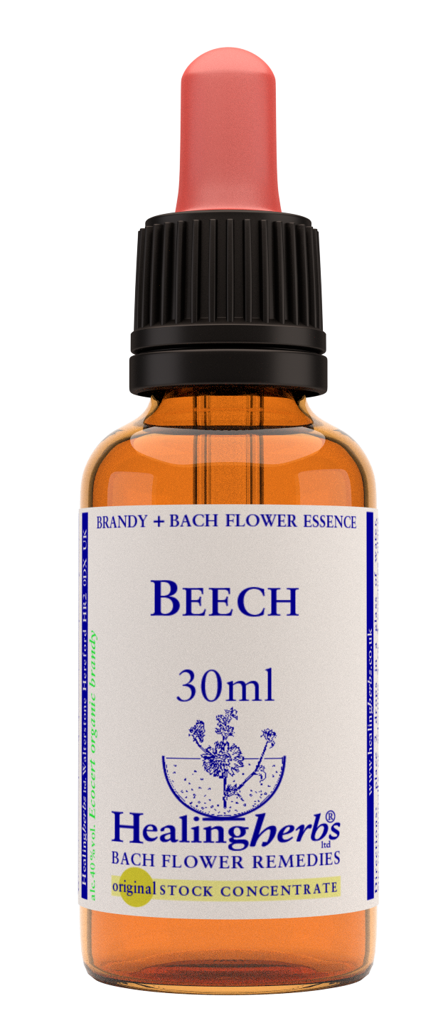 Healing Herbs Ltd Beech