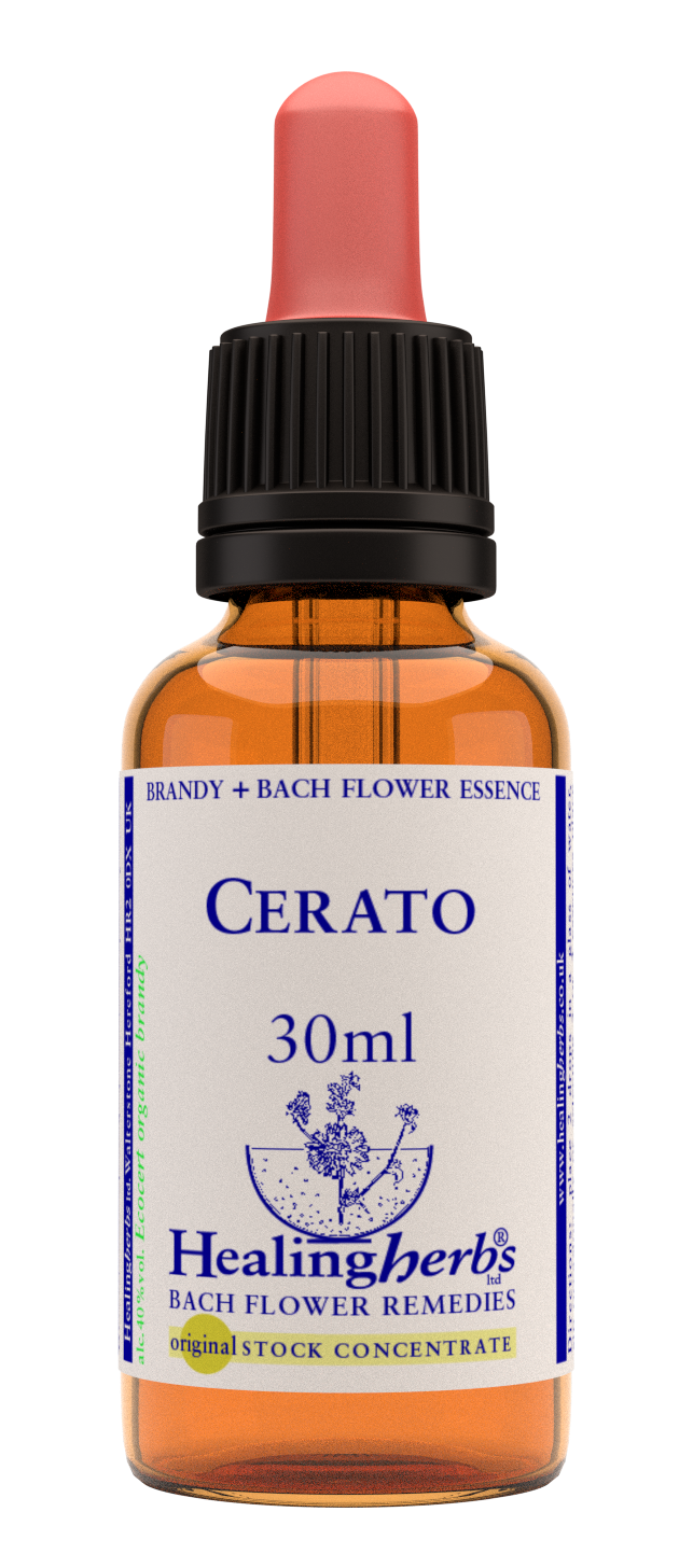 Healing Herbs Ltd Cerato