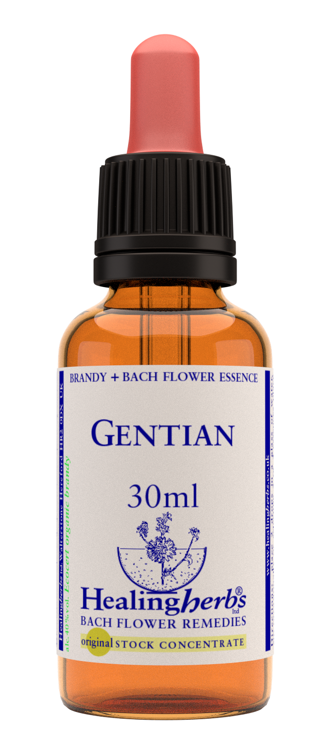 Healing Herbs Ltd Gentian