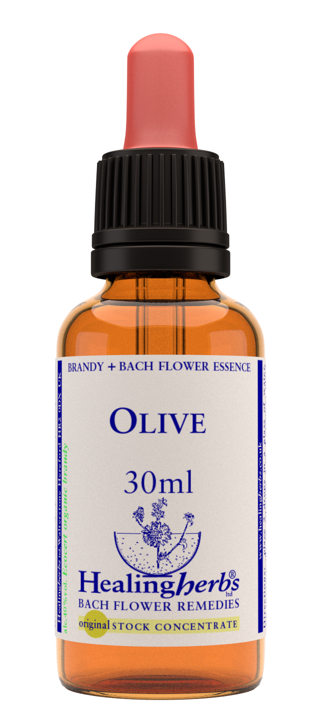 Healing Herbs Ltd Olive