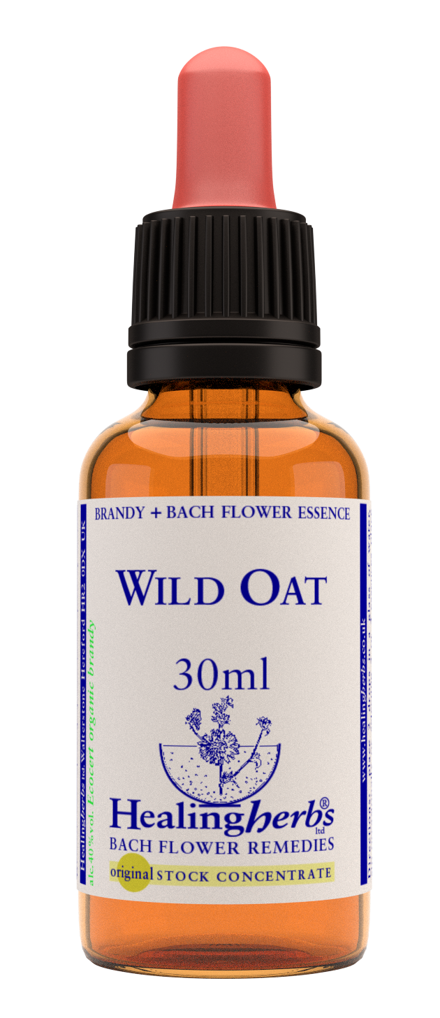 Healing Herbs Ltd Wild Oat