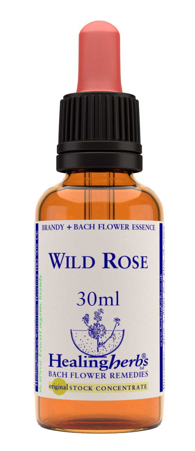 Healing Herbs Ltd Wild Rose