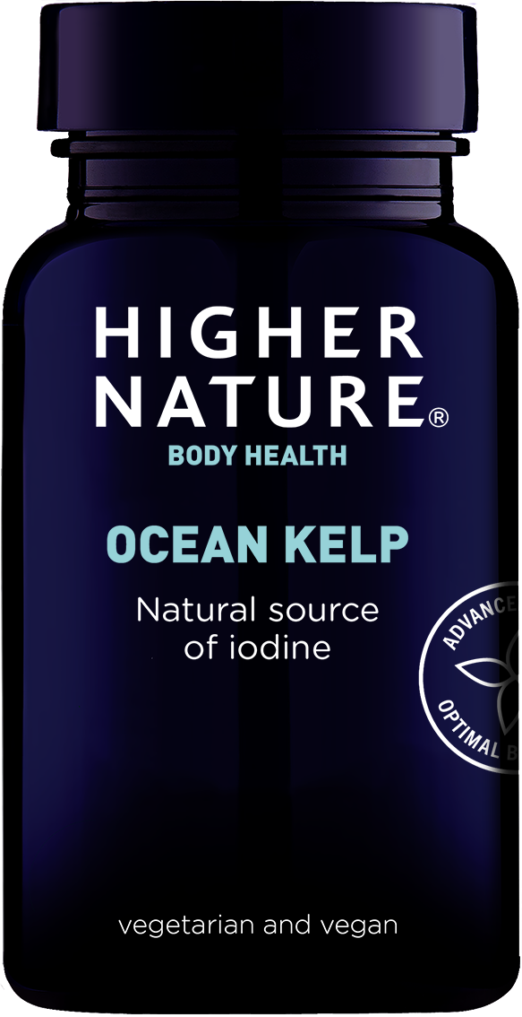 Higher Nature Ocean Kelp 180 Tablets