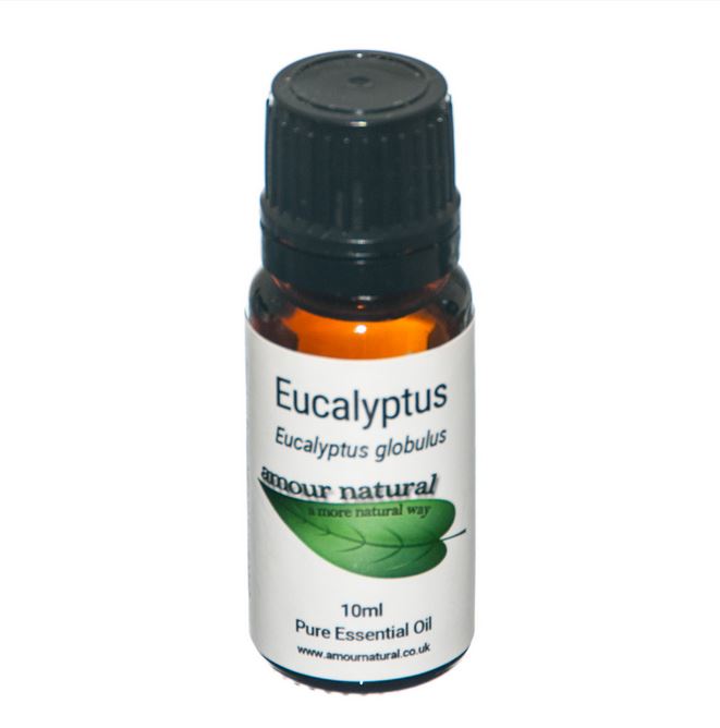Amour Natural Eucalyptus Oil 10ml