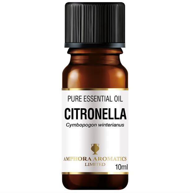 Amphora Aromatics Citronella Organic Pure Essential Oil 10ml