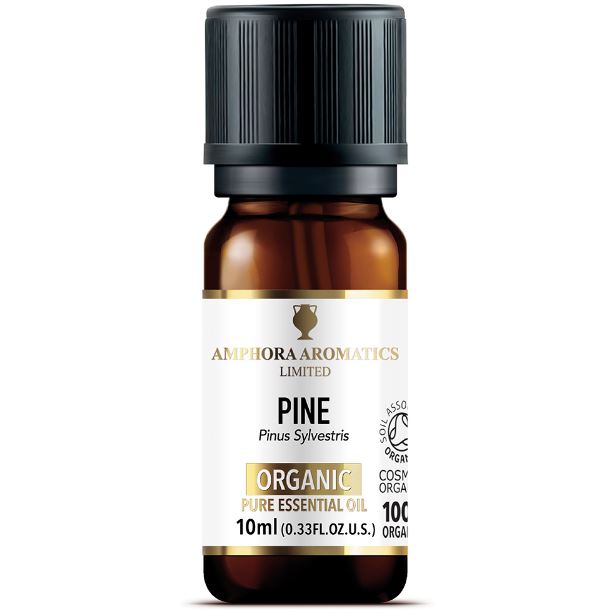Amphora Aromatics Pine Organic Pure Essential Oil 10ml