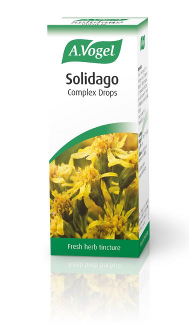 A.Vogel Solidago Complex Drops – 50ml