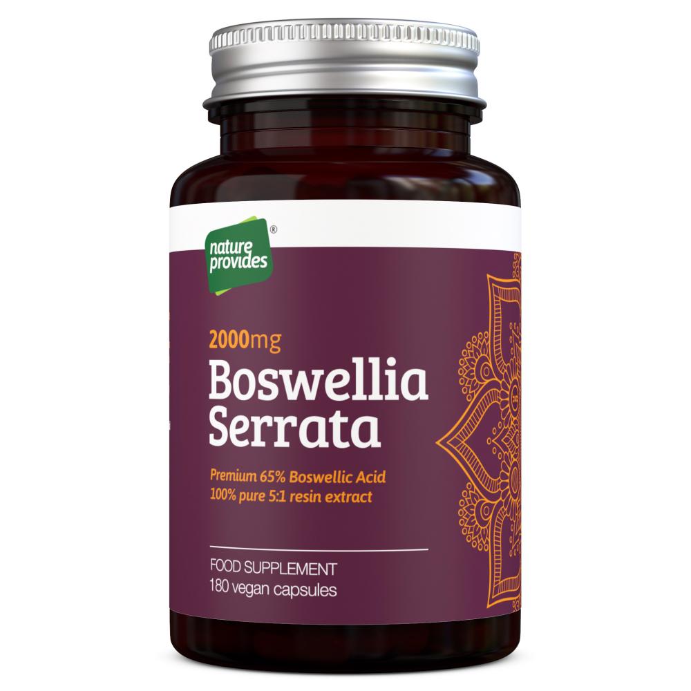 Nature Provides Boswellia Serrata 180&